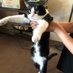 Meet your Posher, Fernando